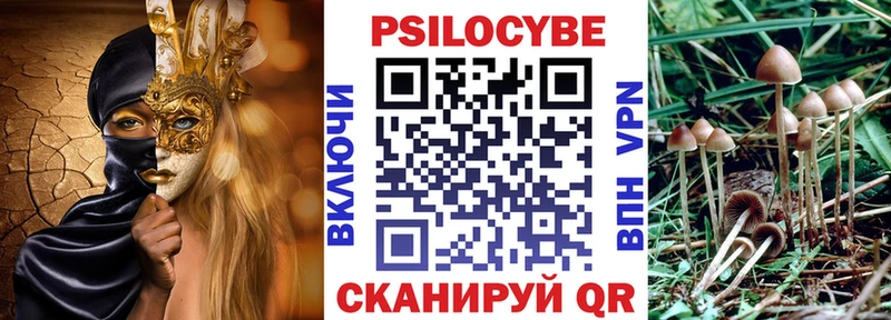 где можно купить   Малмыж  OMG онион  Галлюциногенные грибы Psilocybine cubensis 
