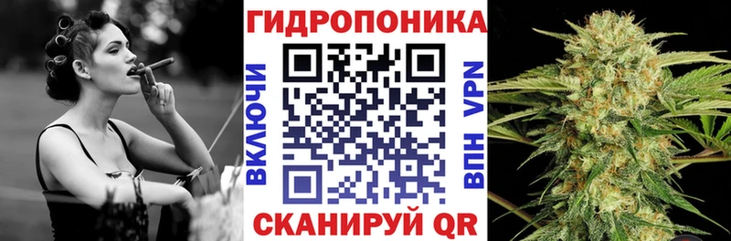 Бошки Шишки марихуана  Малмыж 